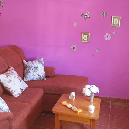 Pequeno Estudio Apartment กรานาดิลญา เด อาโบนา ภายนอก รูปภาพ
